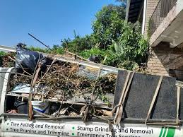 Demolition Debris Removal in Tarpon Springs, FL